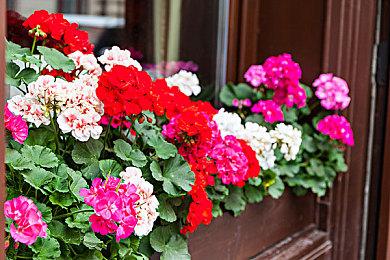 《星刃》Demo女主换装视频 性感身材就是要秀出来